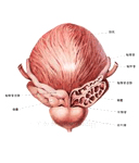 齊齊哈爾男科醫院