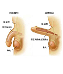 齊齊哈爾男科醫院