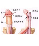 齊齊哈爾男科醫院