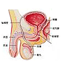 齊齊哈爾男科醫院